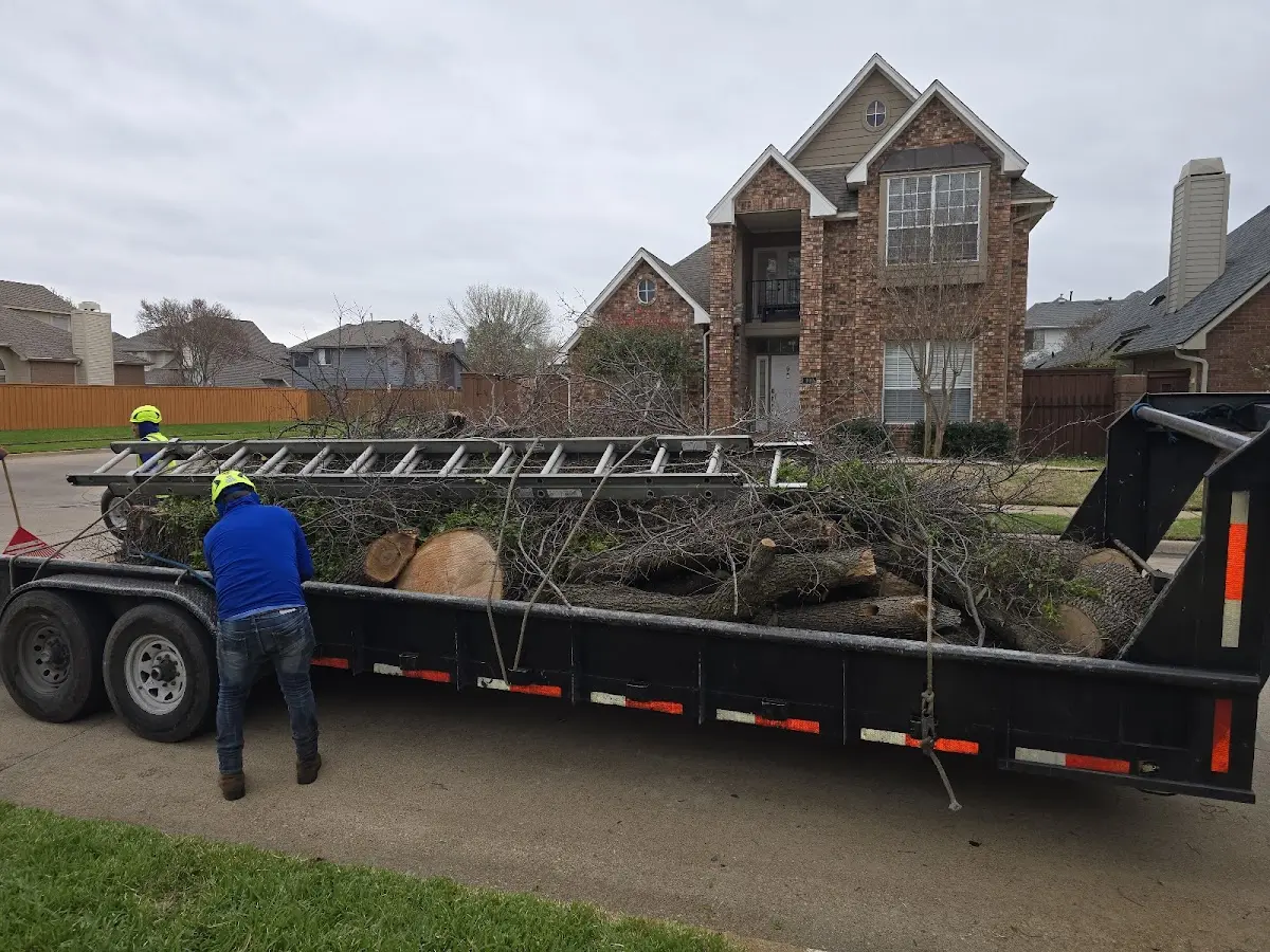 Expert Tree Fertilization with proper safety equipment in Columbus